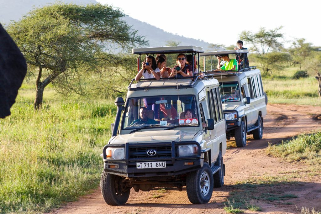 family safari holiday car