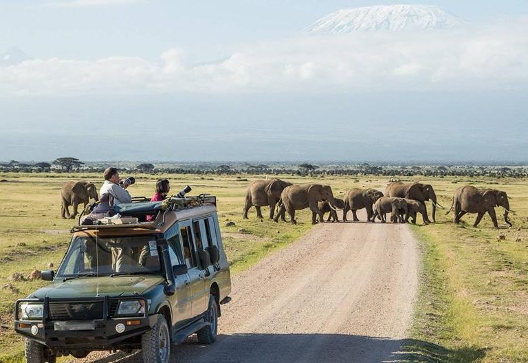 10 Days Safari Kenya & Tanzania combine tour